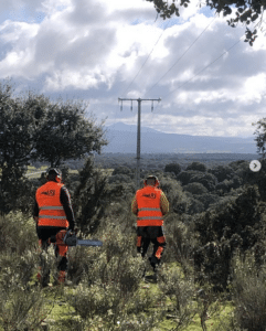 Servicios forestales en la Vera